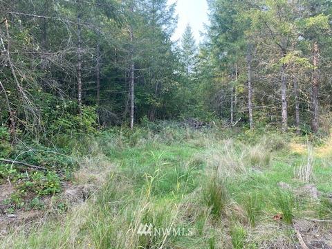 187 Roppert Rd, Winlock, WA 98596 photo 13