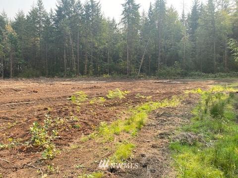187 Roppert Rd, Winlock, WA 98596 photo 2