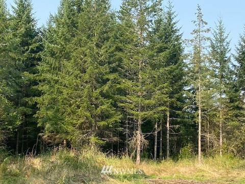 187 Roppert Rd, Winlock, WA 98596 photo 4