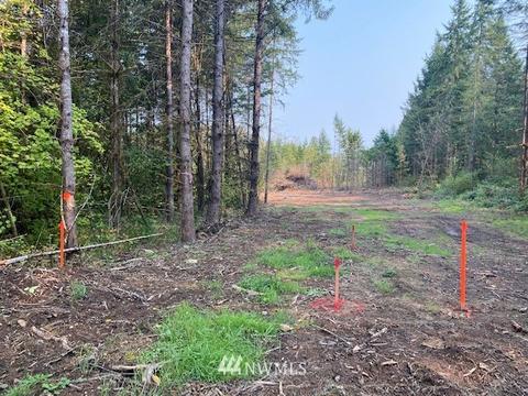 187 Roppert Rd, Winlock, WA 98596 photo 1