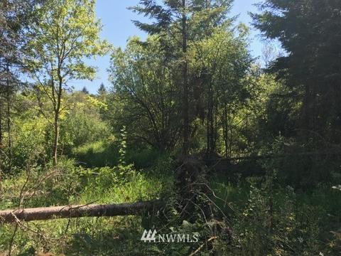 187 Roppert Rd, Winlock, WA 98596 photo 12