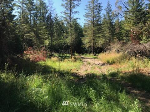 187 Roppert Rd, Winlock, WA 98596 photo 6