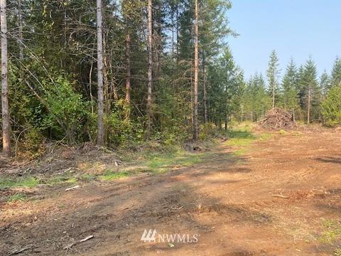 187 Roppert Rd, Winlock, WA 98596 photo 7