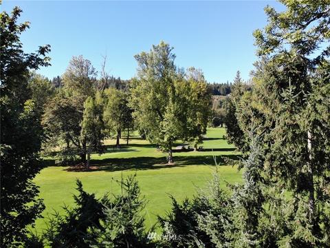 1207 Williams Ct NW, Orting, WA 98360 photo 28