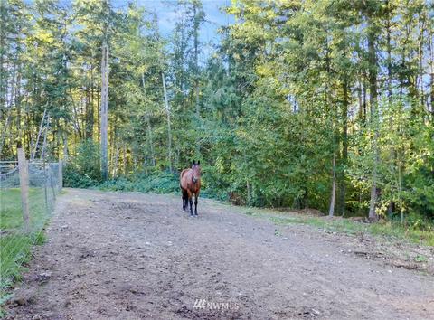 34710 24th Ave E, Roy, WA 98580 photo 39