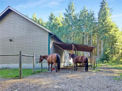 34710 24th Ave E, Roy, WA 98580 photo 38