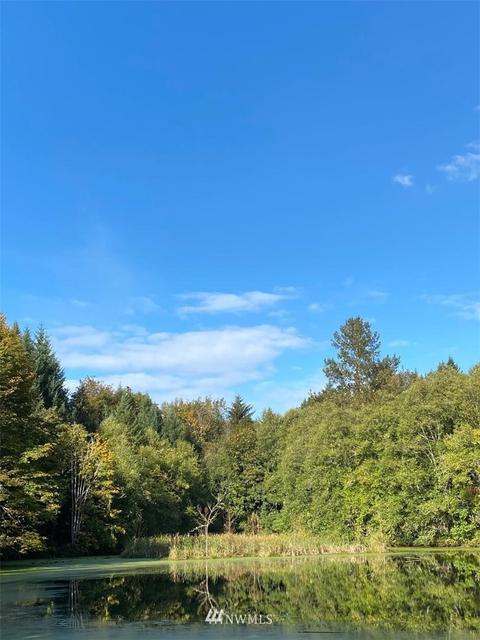 23310 148th Street Ct E, Orting, WA 98360 photo 17
