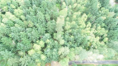 46434 288th Pl SE, Enumclaw, WA 98022 photo 9