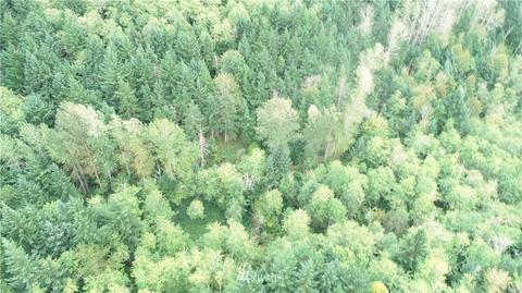 46434 288th Pl SE, Enumclaw, WA 98022 photo 6