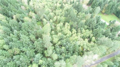46434 288th Pl SE, Enumclaw, WA 98022 photo 7