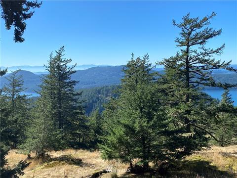 247 Old Growth Ln, Eastsound, WA 98245 photo 1