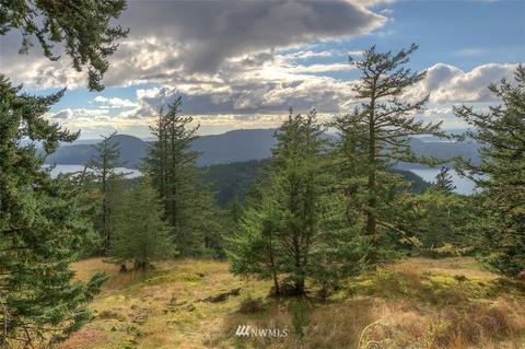 247 Old Growth Ln, Eastsound, WA 98245 photo 27