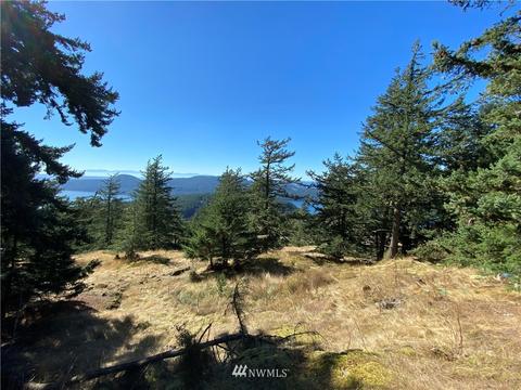 247 Old Growth Ln, Eastsound, WA 98245 photo 6