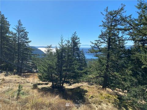 247 Old Growth Ln, Eastsound, WA 98245 photo 5