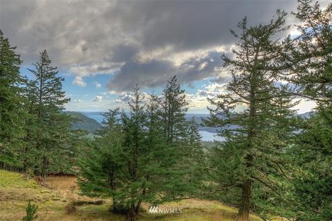 247 Old Growth Ln, Eastsound, WA 98245 photo 24