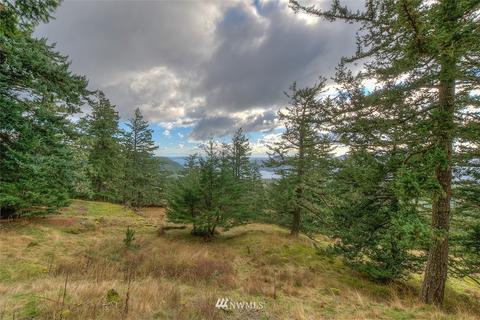 247 Old Growth Ln, Eastsound, WA 98245 photo 25