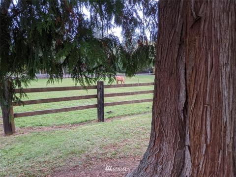 261 Pascoe, Chehalis, WA 98532 photo 33