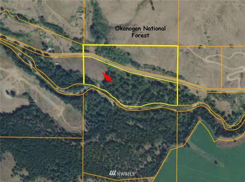 449 Twisp River Rd, Twisp, WA 98856 photo 39