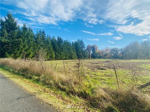150 E Howe Rd, Toledo, WA 98591 photo 2
