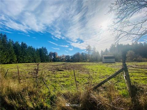 150 E Howe Rd, Toledo, WA 98591 photo 9