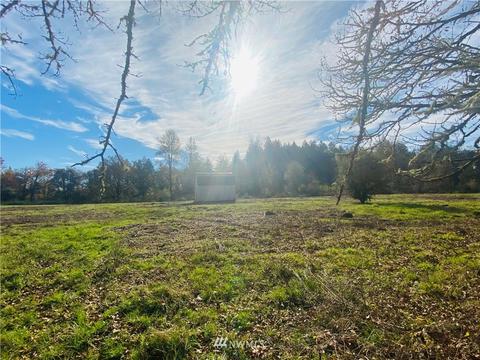 150 E Howe Rd, Toledo, WA 98591 photo 6