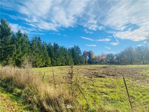 150 E Howe Rd, Toledo, WA 98591 photo 1