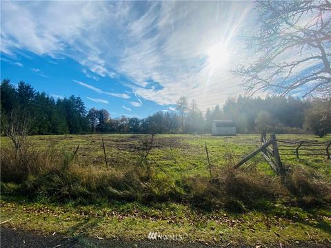 150 E Howe Rd, Toledo, WA 98591 photo 4
