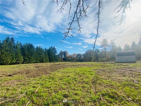 150 E Howe Rd, Toledo, WA 98591 photo 5