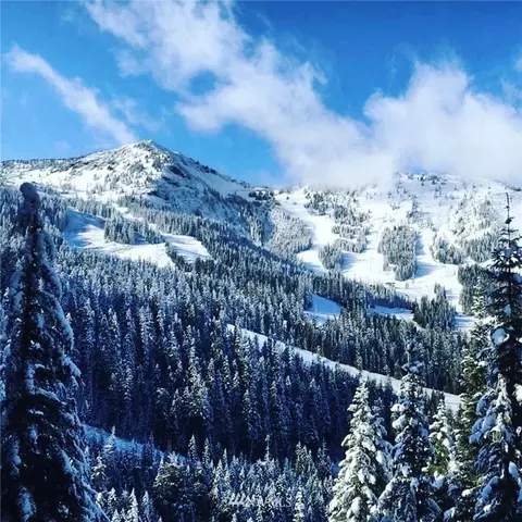 0 Gold Hill Rd #LOT 7, Greenwater, WA 98022