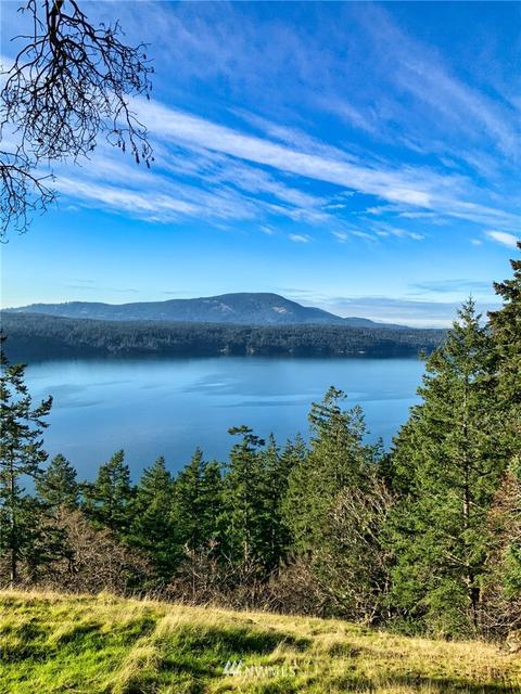 803 Tomihi Dr, Eastsound, WA 98245 photo 3
