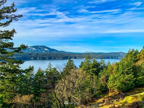 803 Tomihi Dr, Eastsound, WA 98245 photo 11