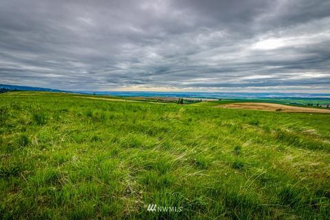 3268 Seaman Rd, Dixie, WA 99329 photo 4