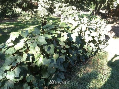 1007 E Alder St, Walla Walla, WA 99362 photo 34