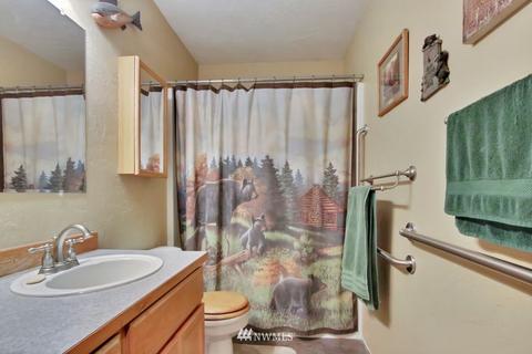 22518 65th Ave E, Spanaway, WA 98387 photo 16