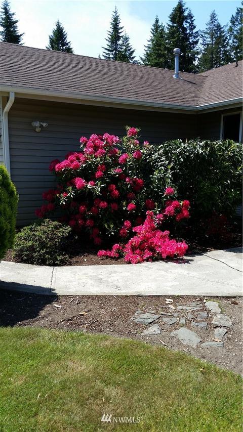 22518 65th Ave E, Spanaway, WA 98387 photo 34
