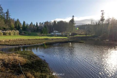 161 Nebel Dr, Sequim, WA 98382 photo 38