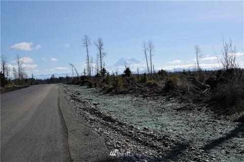 1311 334th St E, Roy, WA 98580 photo 10
