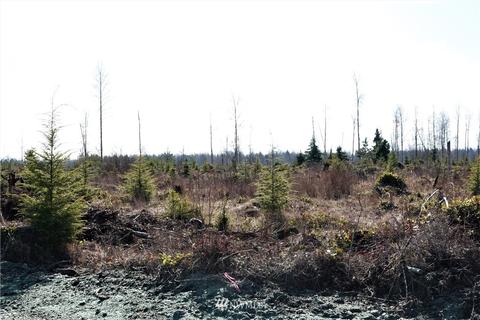 1311 334th St E, Roy, WA 98580 photo 4