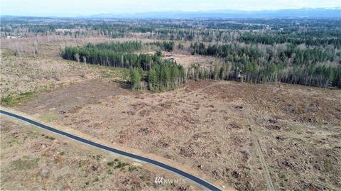 1312 334th St E, Roy, WA 98580 photo 3