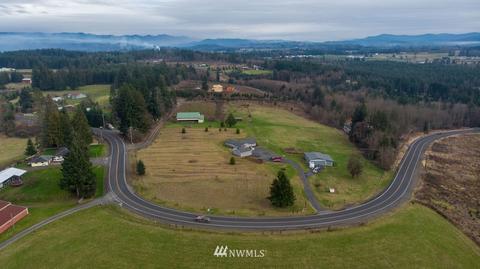 415 Leonard Rd, Onalaska, WA 98570 photo 38