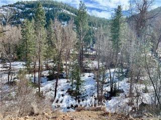 161 Twisp River Rd, Twisp, WA 98856 photo 3