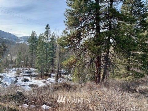 161 Twisp River Rd, Twisp, WA 98856 photo 6
