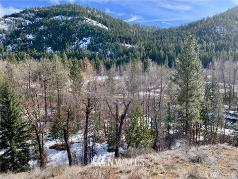 161 Twisp River Rd, Twisp, WA 98856 photo 7