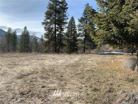 161 Twisp River Rd, Twisp, WA 98856 photo 4