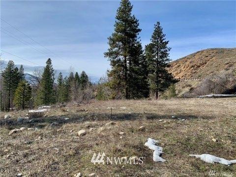 161 Twisp River Rd, Twisp, WA 98856 photo 5