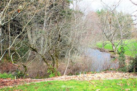 203 SW Bolo Ln, Winlock, WA 98596 photo 5