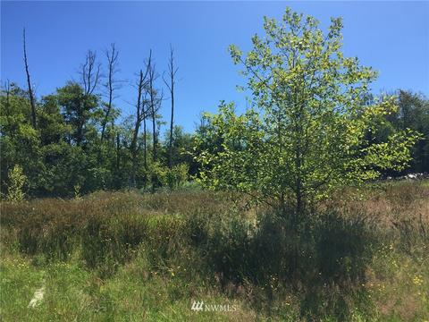 274192 E Hwy 101, Sequim, WA 98382 photo 8