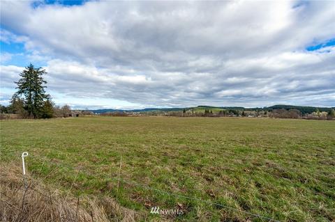 204 Roundtree Rd, Curtis, WA 98538 photo 26