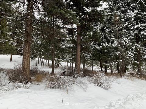 54 Trapline Loop Rd, Oroville, WA 98844 photo 4