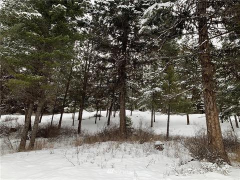 54 Trapline Loop Rd, Oroville, WA 98844 photo 3